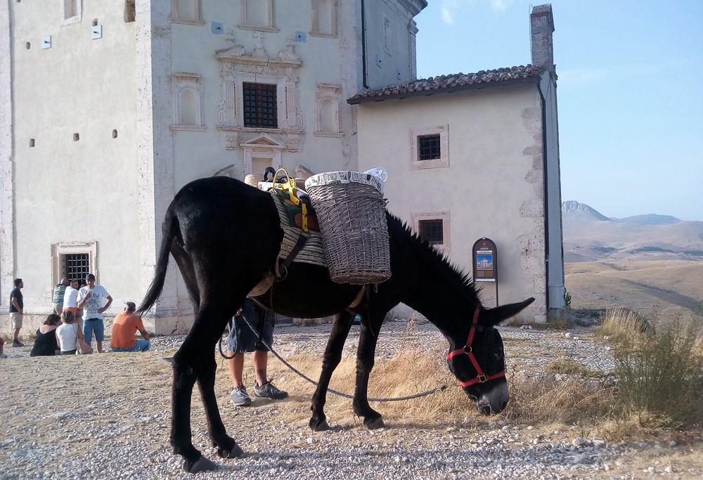 Viaggi di Gruppo Abruzzo Gran Sasso a passo d'Asino