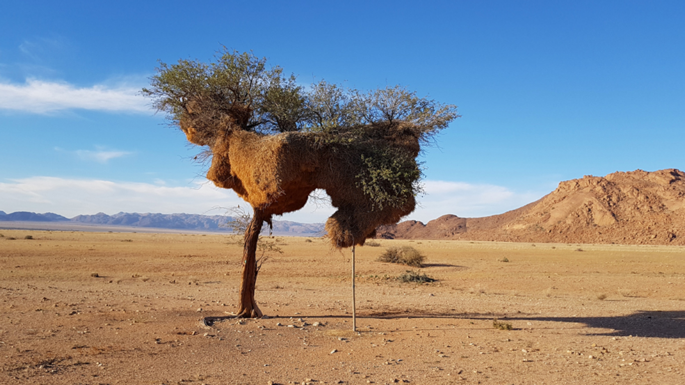 Viaggi di Gruppo Namibia Adventure