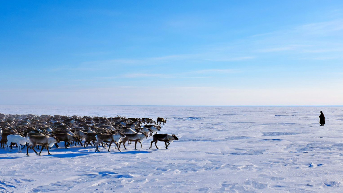 Viaggi di Gruppo Siberia  Nenet Expedition