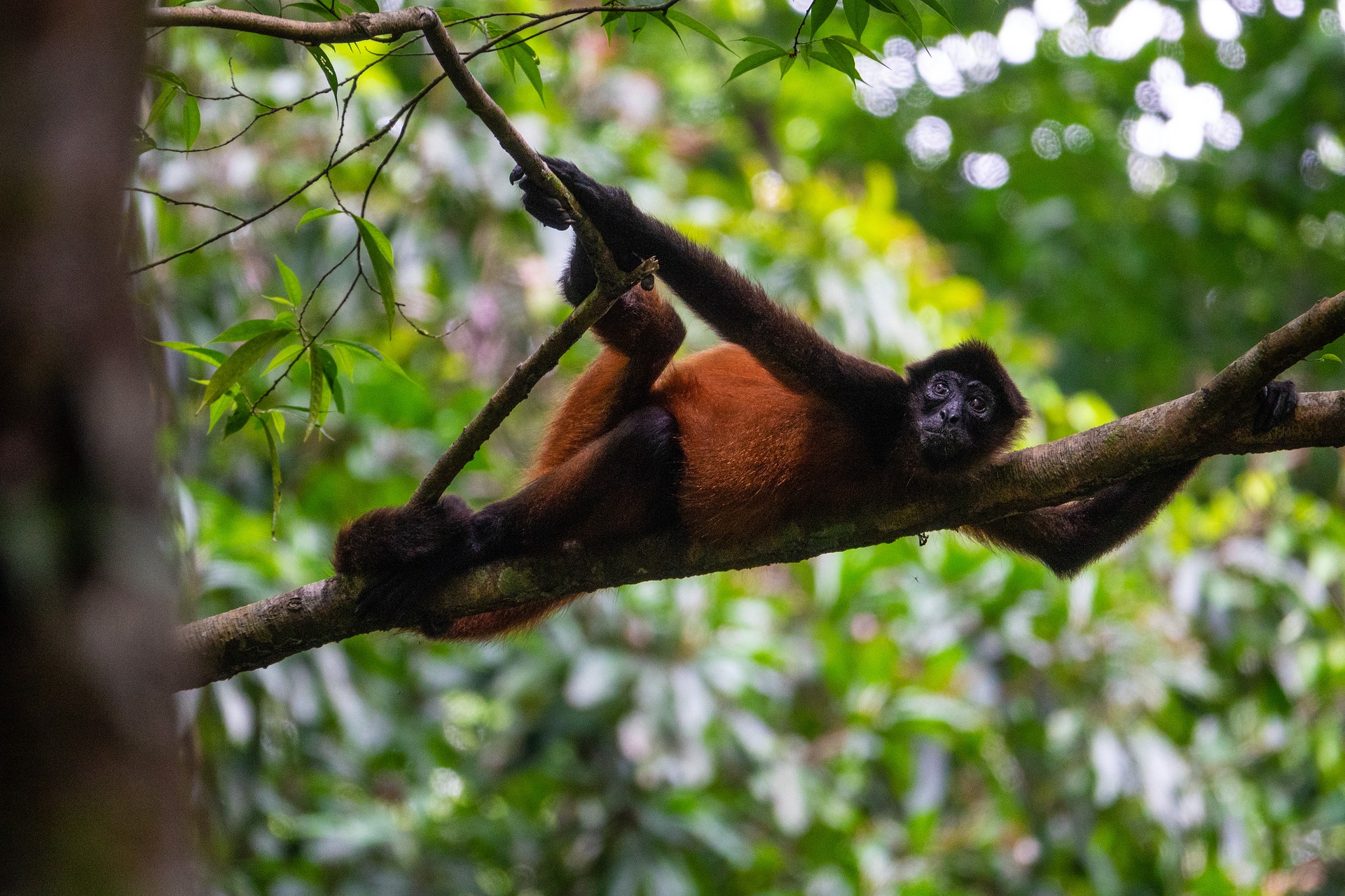 Viaggio di gruppo Costa Rica