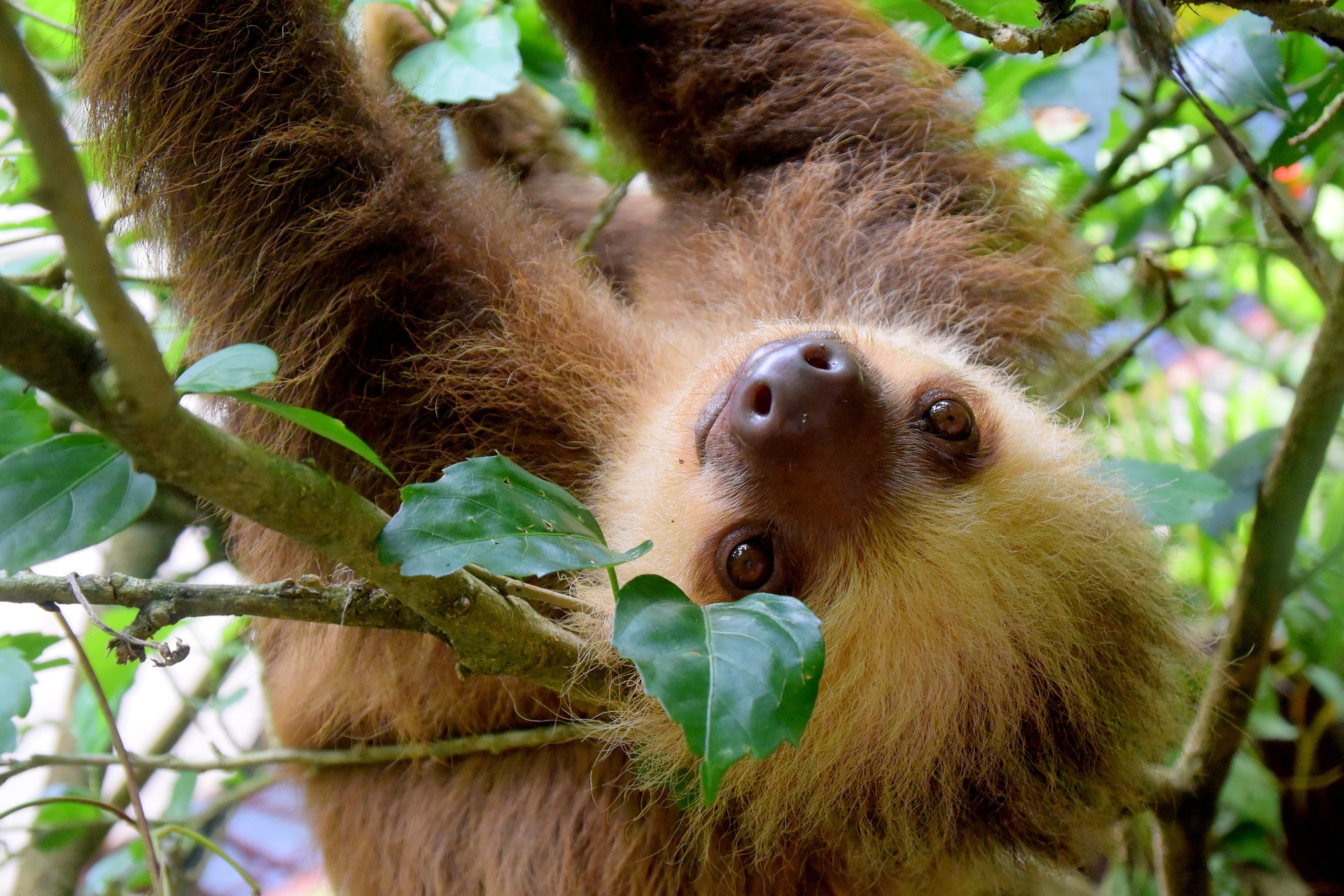 Viaggio di gruppo Costa Rica