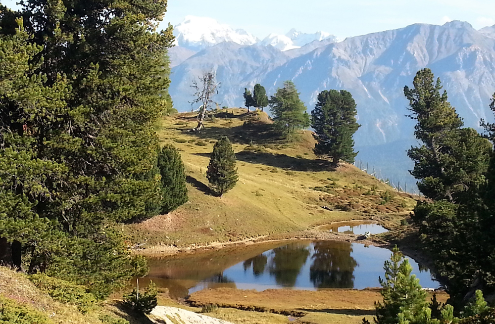 viaggio di gruppo trekking tour avventura svizzera engadina